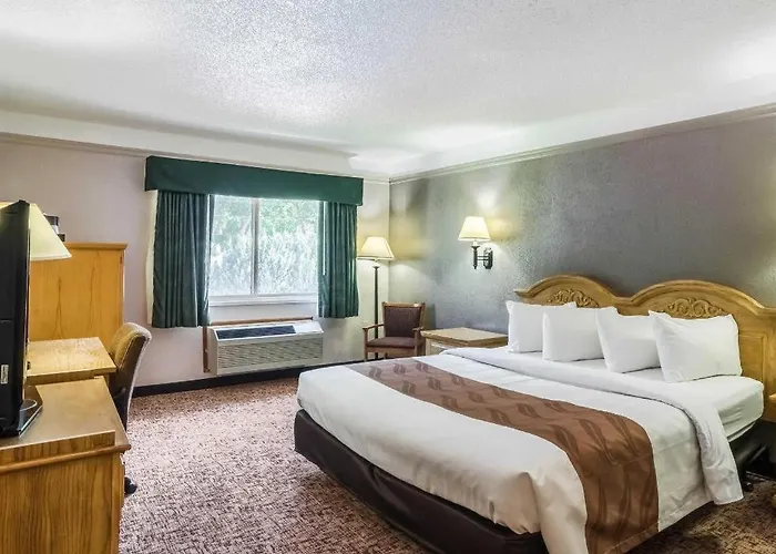 Quality Hotel