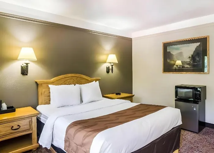 Hotel Quality Buffalo