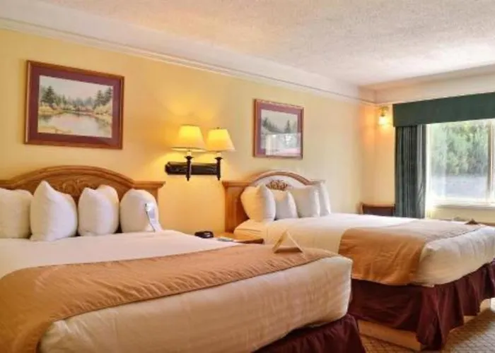 Quality Hotel