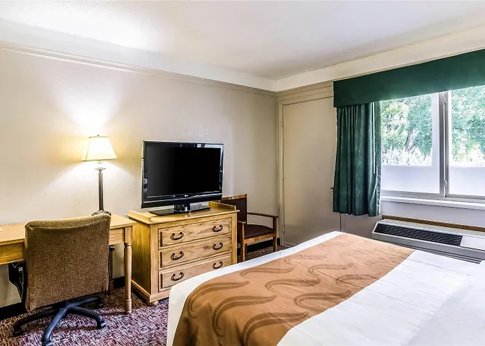 Quality Hotel
