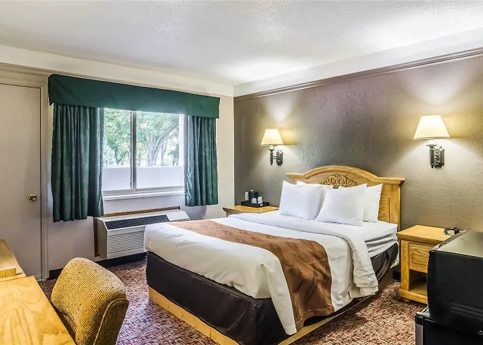 Quality Hotel Buffalo