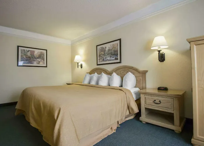 Quality Hotel Buffalo